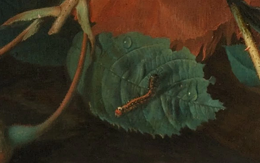 Jan van Huijsum - Natura morta con fiori e frutta (dettaglio bruco), Rijksmuseum Amsterdam